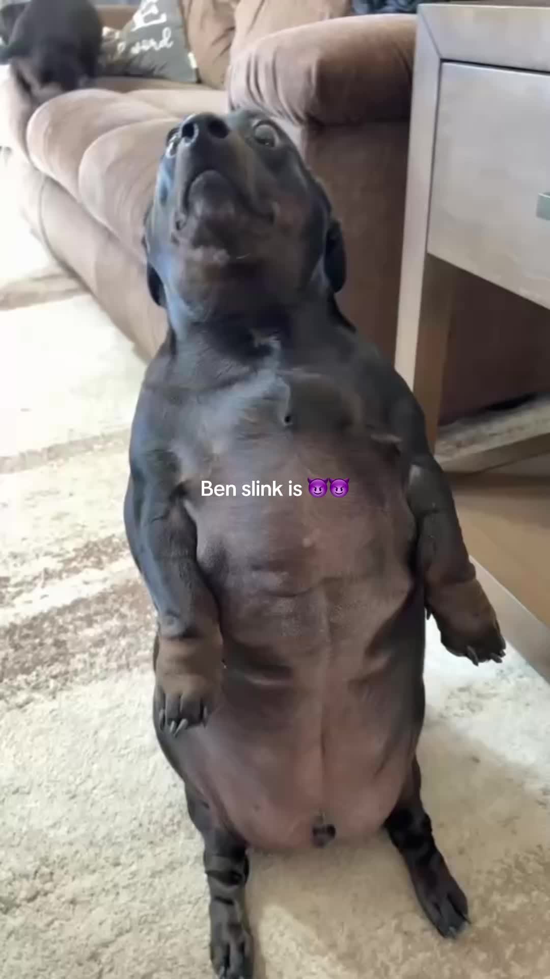 @BenSlinkdawg