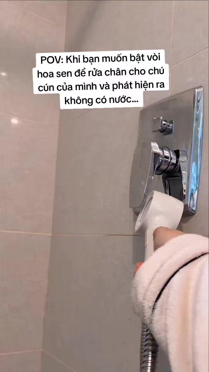@Thanh Châm