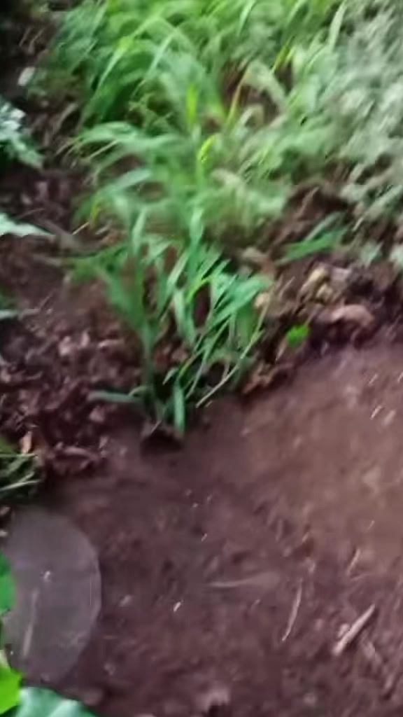 @Satisfying Mowing