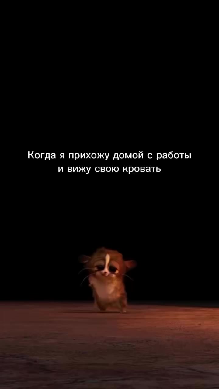 @💕Сестра Солдата🪖