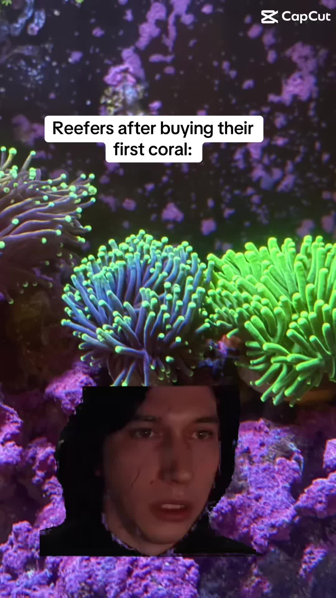 @ReefTok