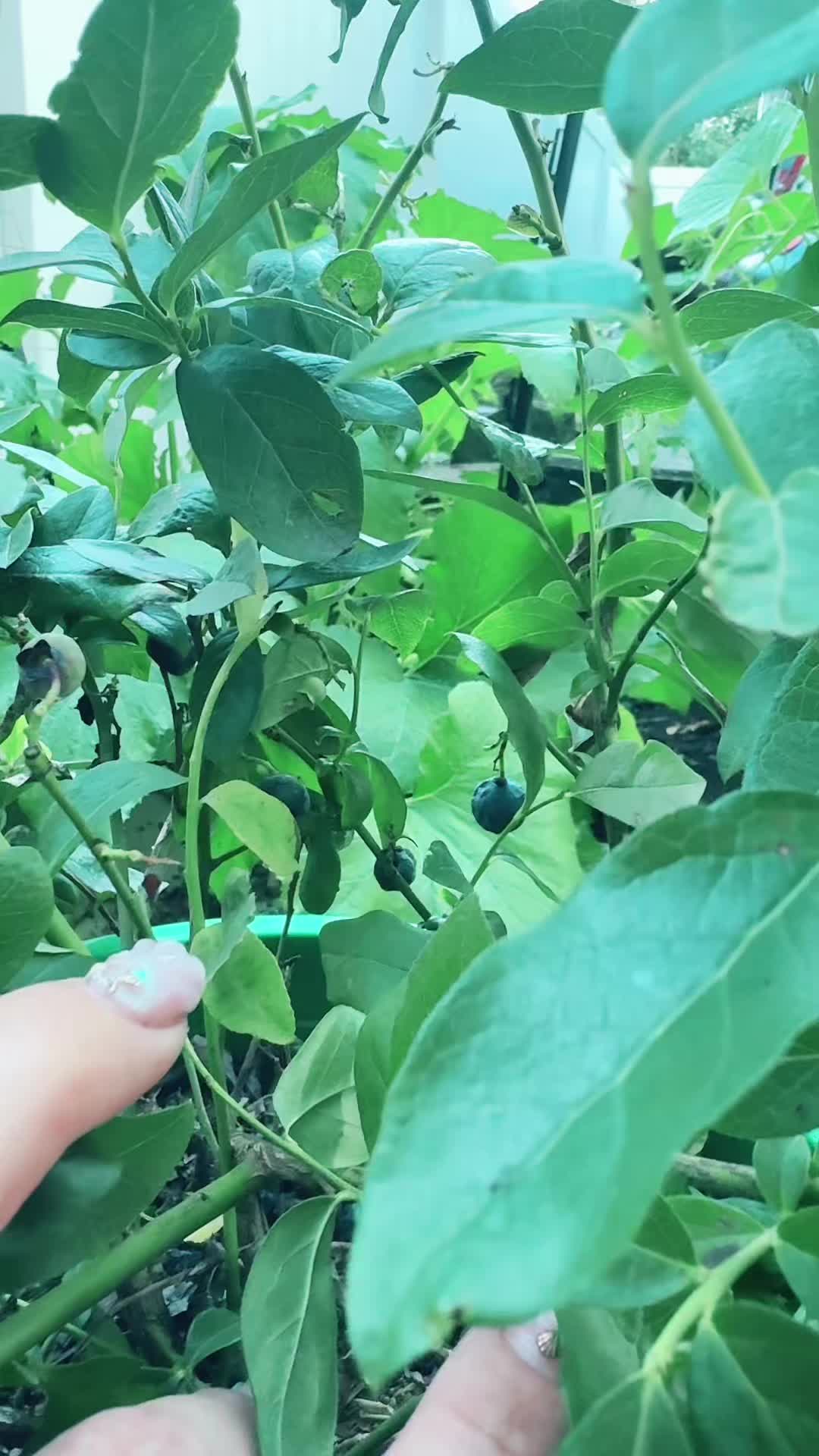 @Brendaliz💚