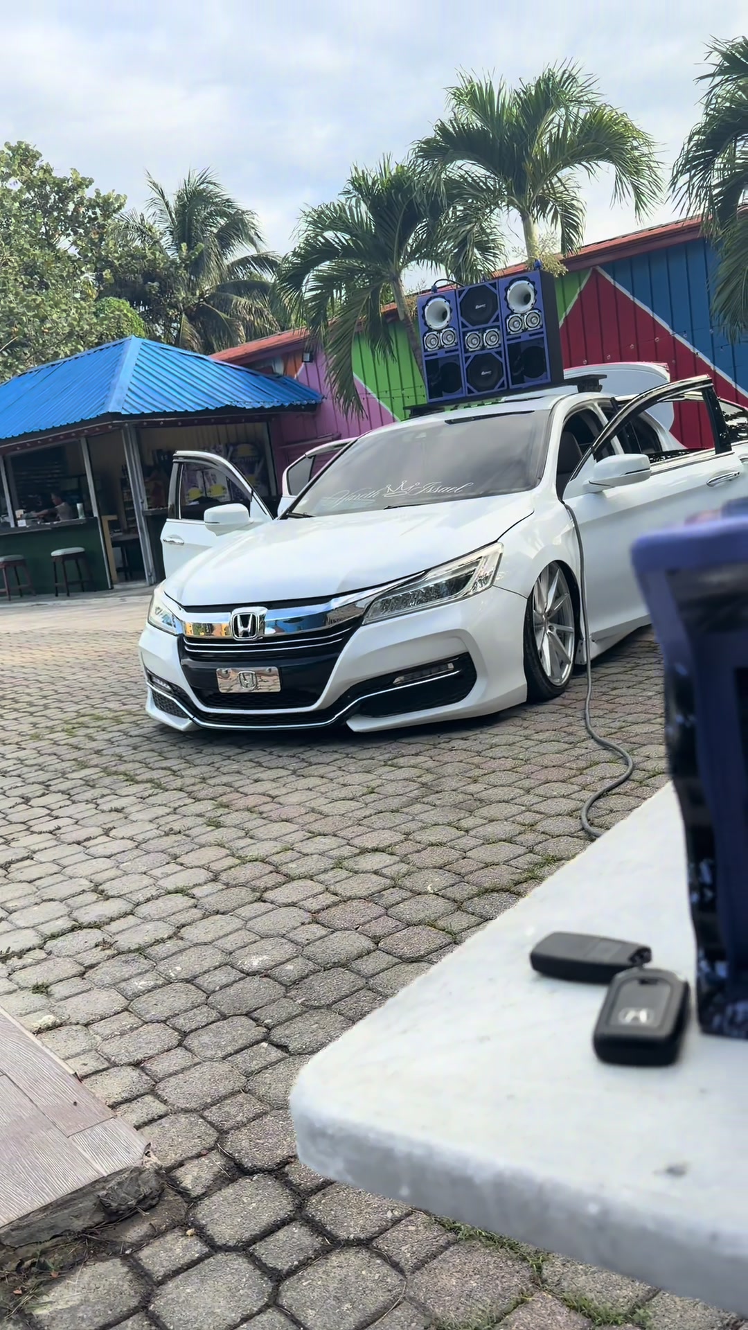 @pelofino.18