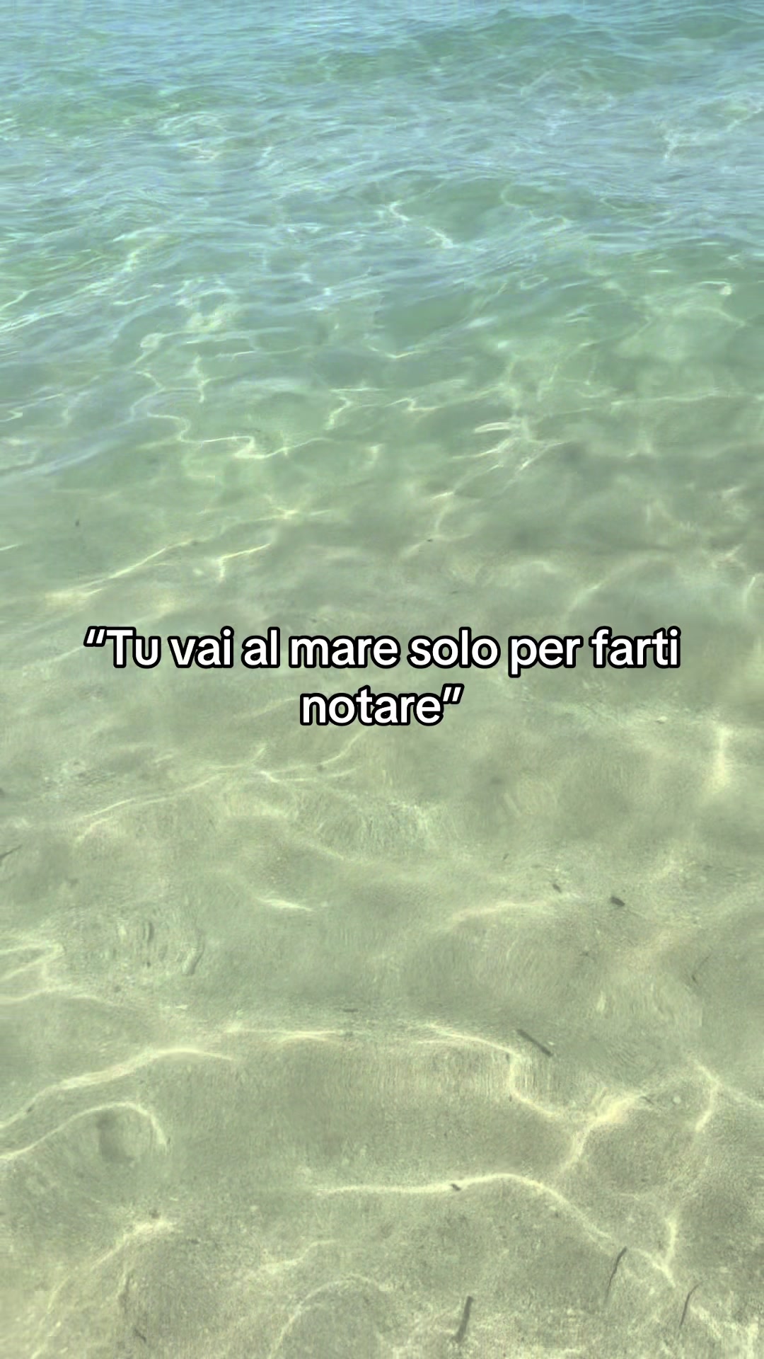 @Angela Leccese 🌻