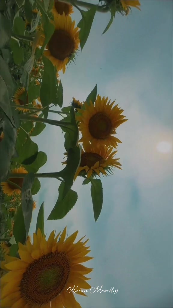 @இராவண தேசத்து இளவரசன்