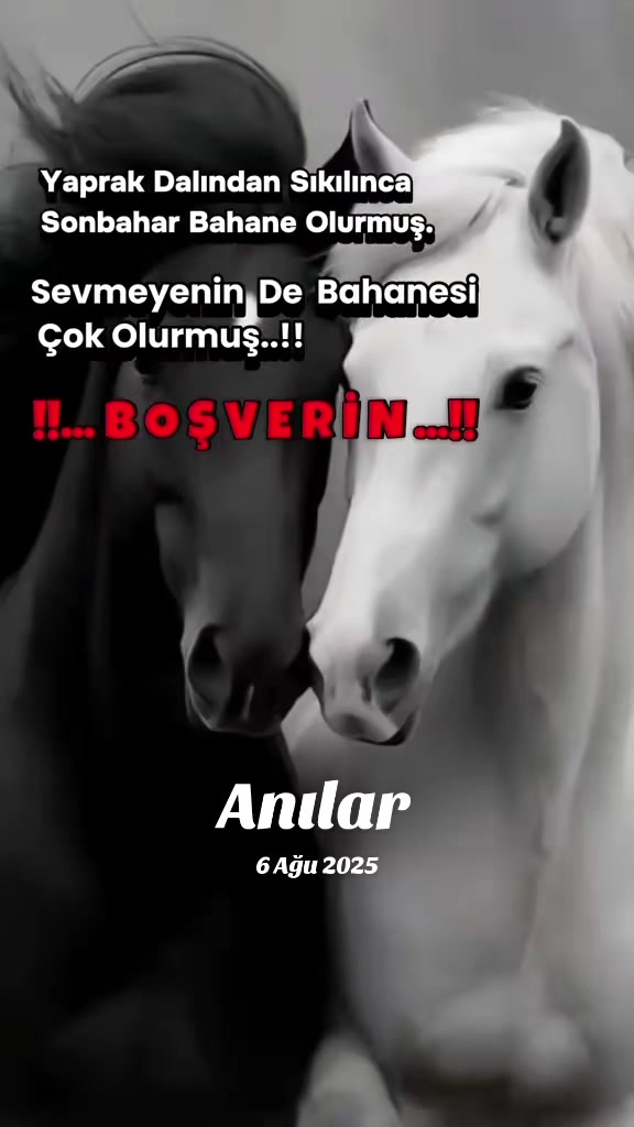 @꧁〽️ѕєν∂αиιиуєℓℓєяī〽️꧂