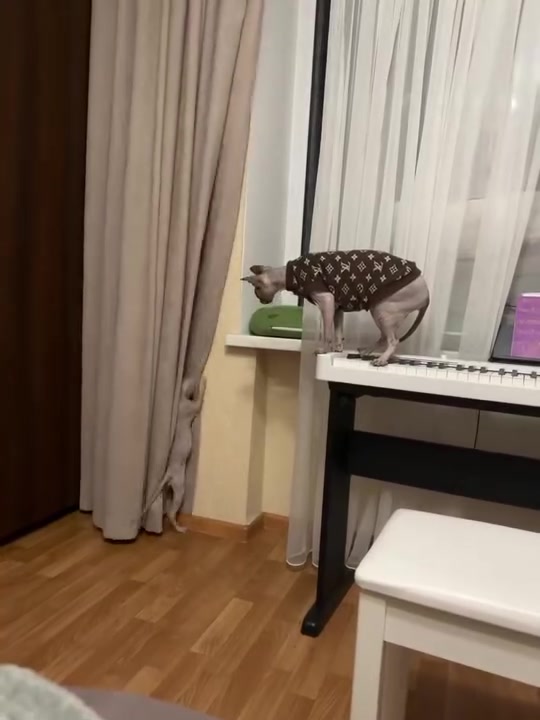 @Іріска💖