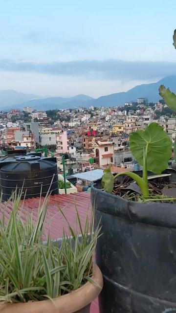 @चिमोरिया शरण