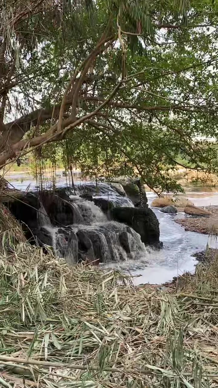 @Piara ikan di galon
