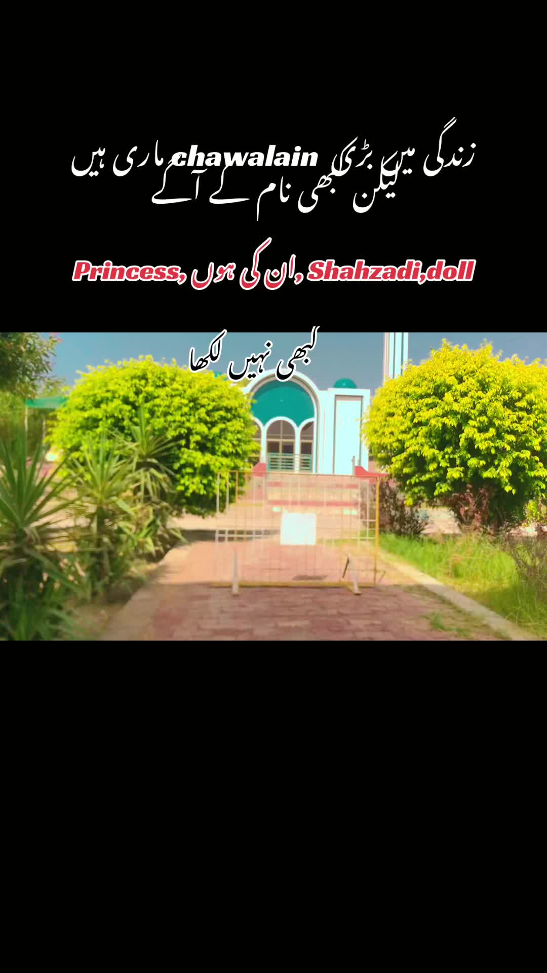 @برہان کی خالہ