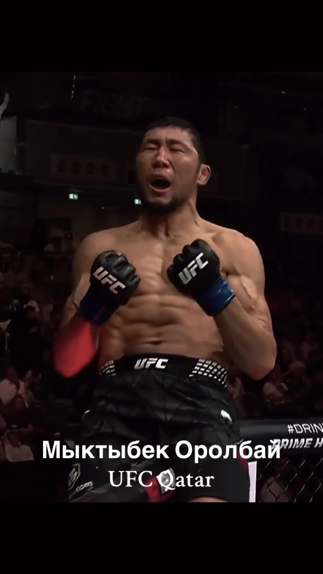@Ermek___UFC