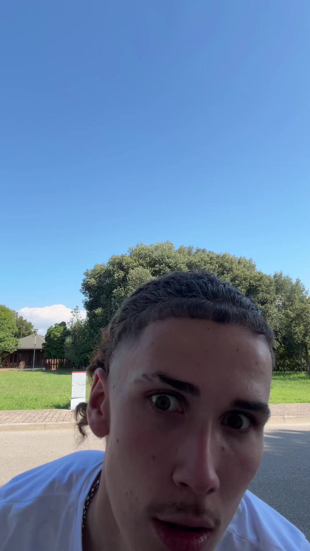 @Confuso🦈