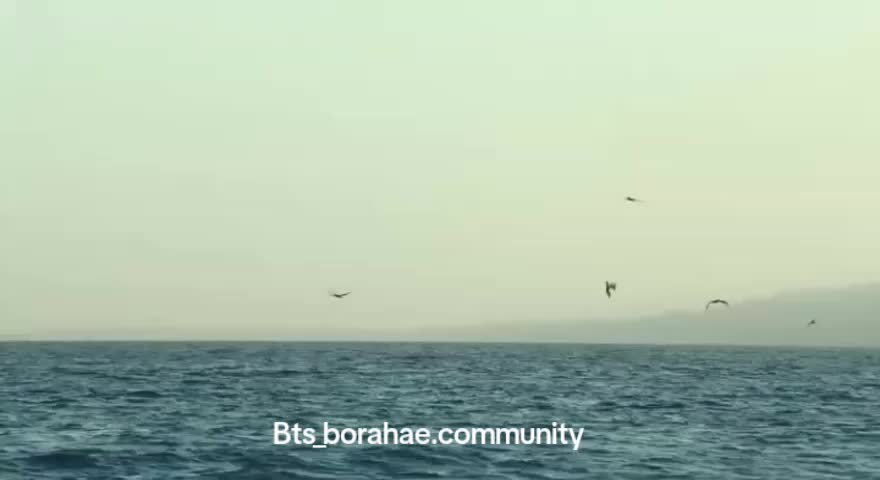 @bts_borahae.community
