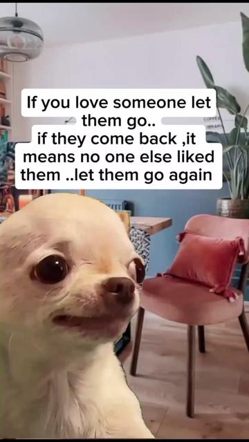 @Sunshine Breeze Love ✨️💕✨️💕