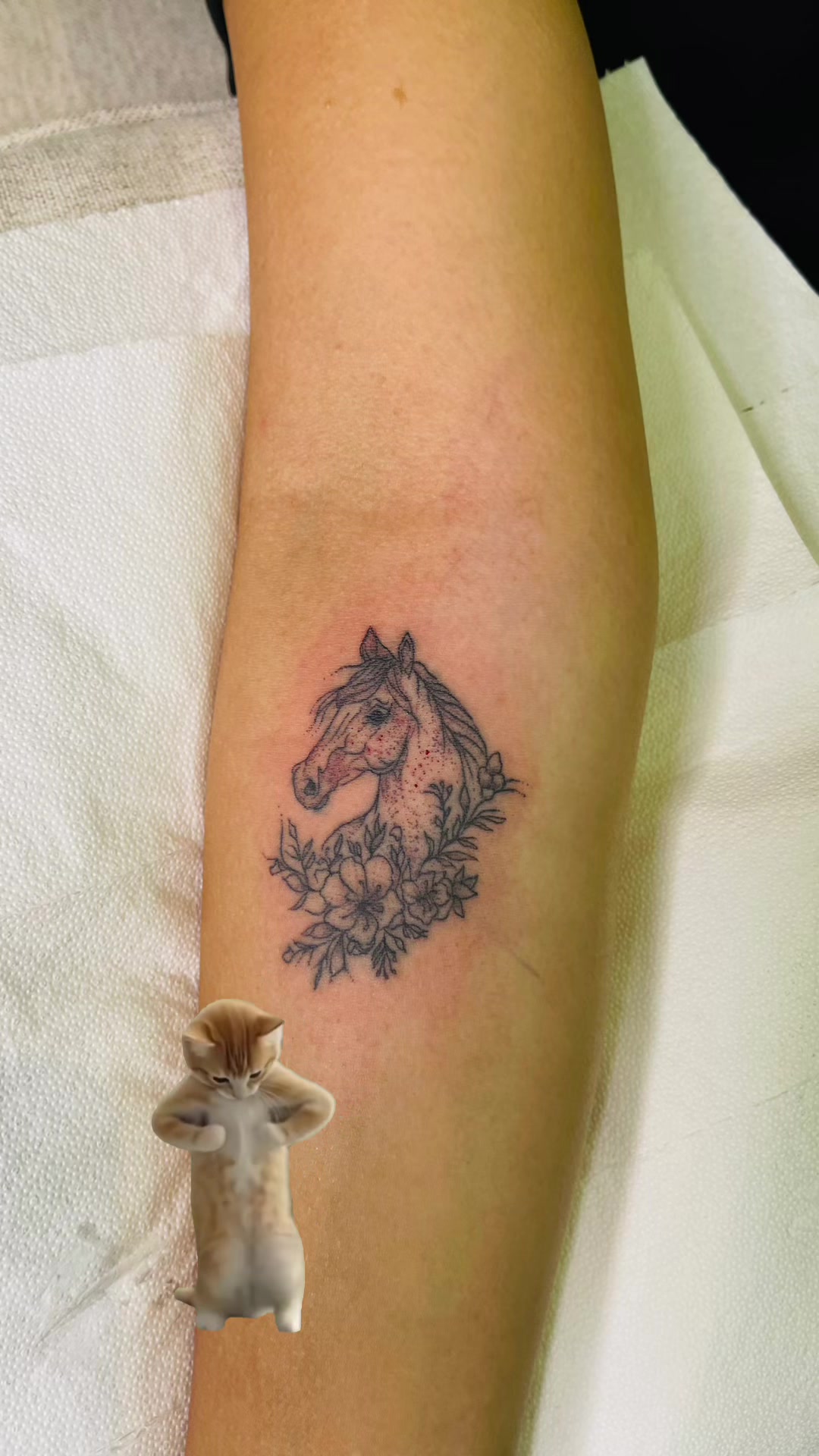 @Side Project Ink