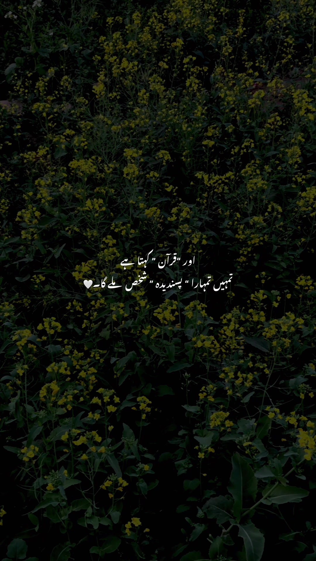 @E N Z O ♡