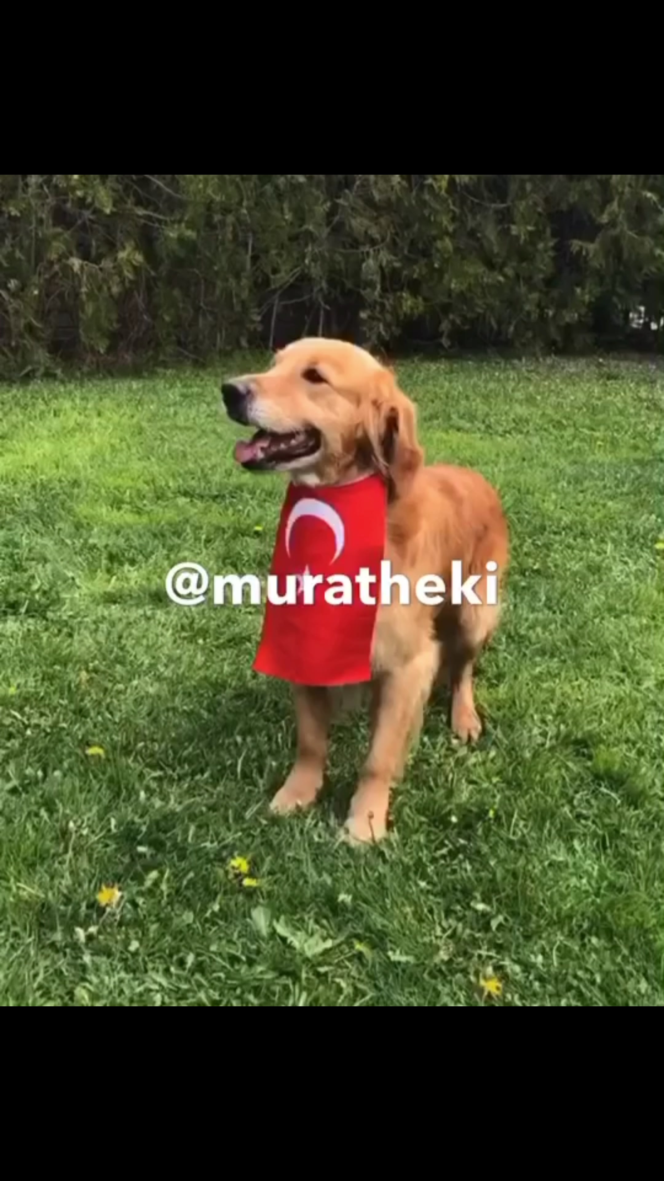 @muratheki