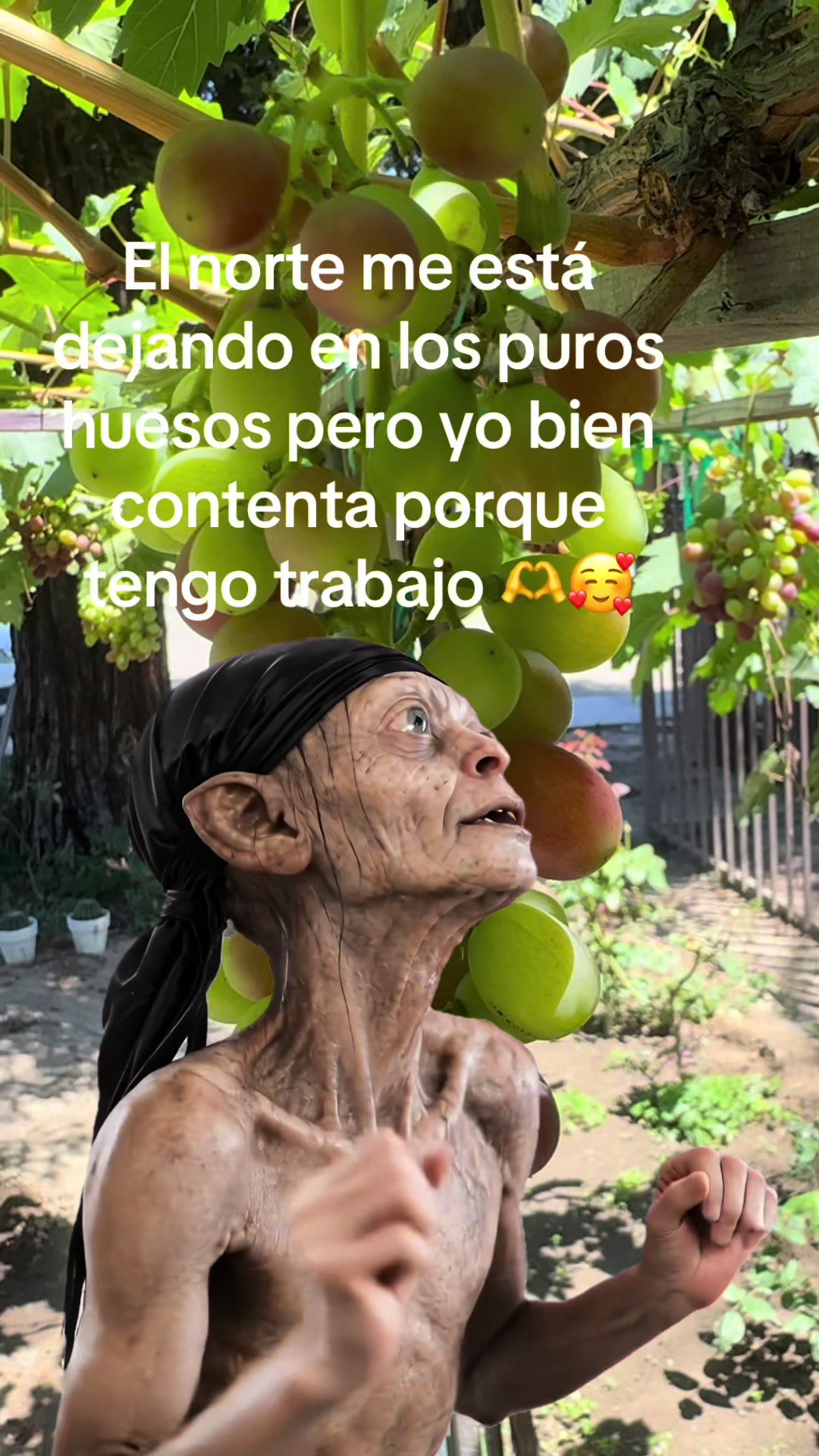 @Chaparritalaoaxaqueña💕🫶