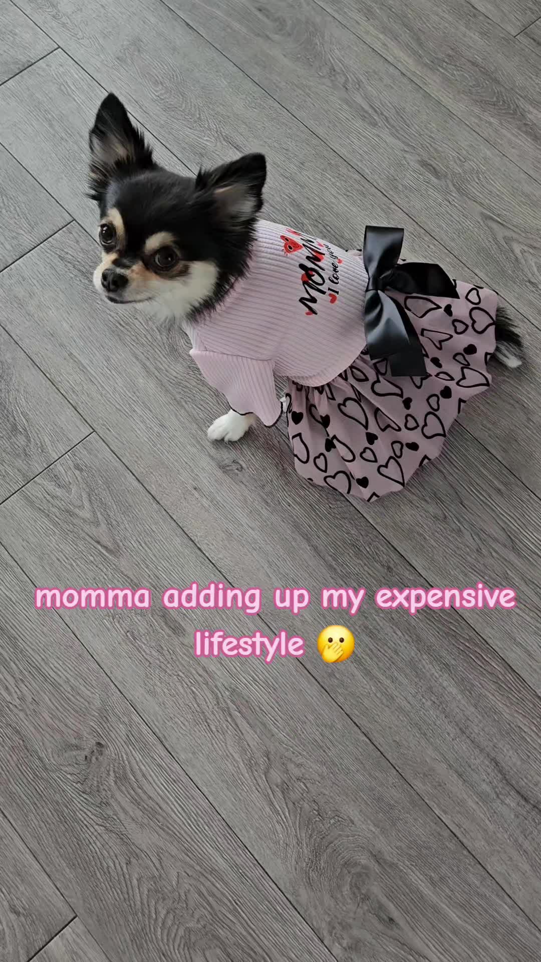 @Pawsha