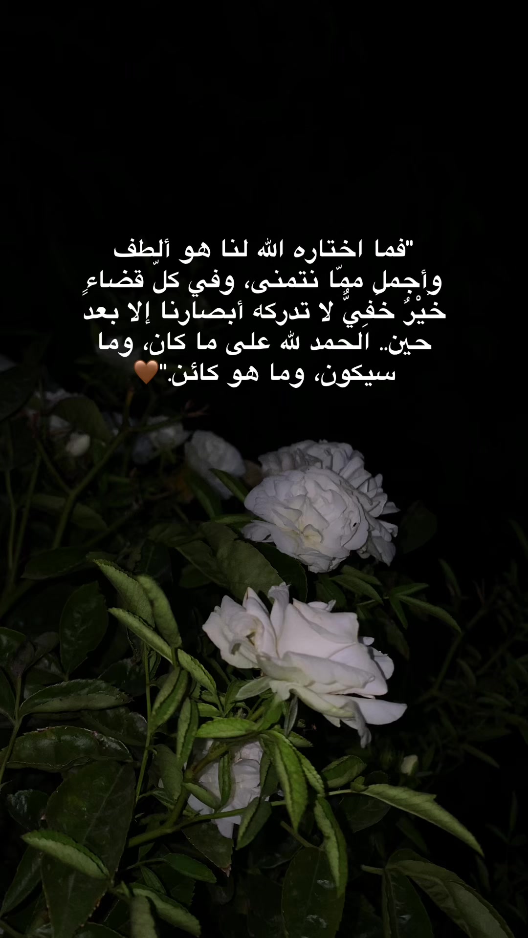 @♡ 