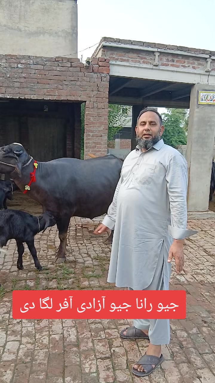 @Farming and Business Ideas