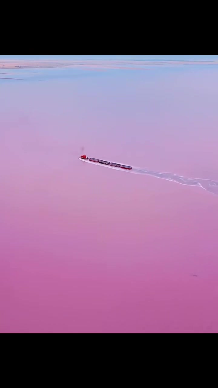 @𓆩ꨄ︎𓆪TOᗪEᔕEᑎGEᒪ𓆩ꨄ︎𓆪