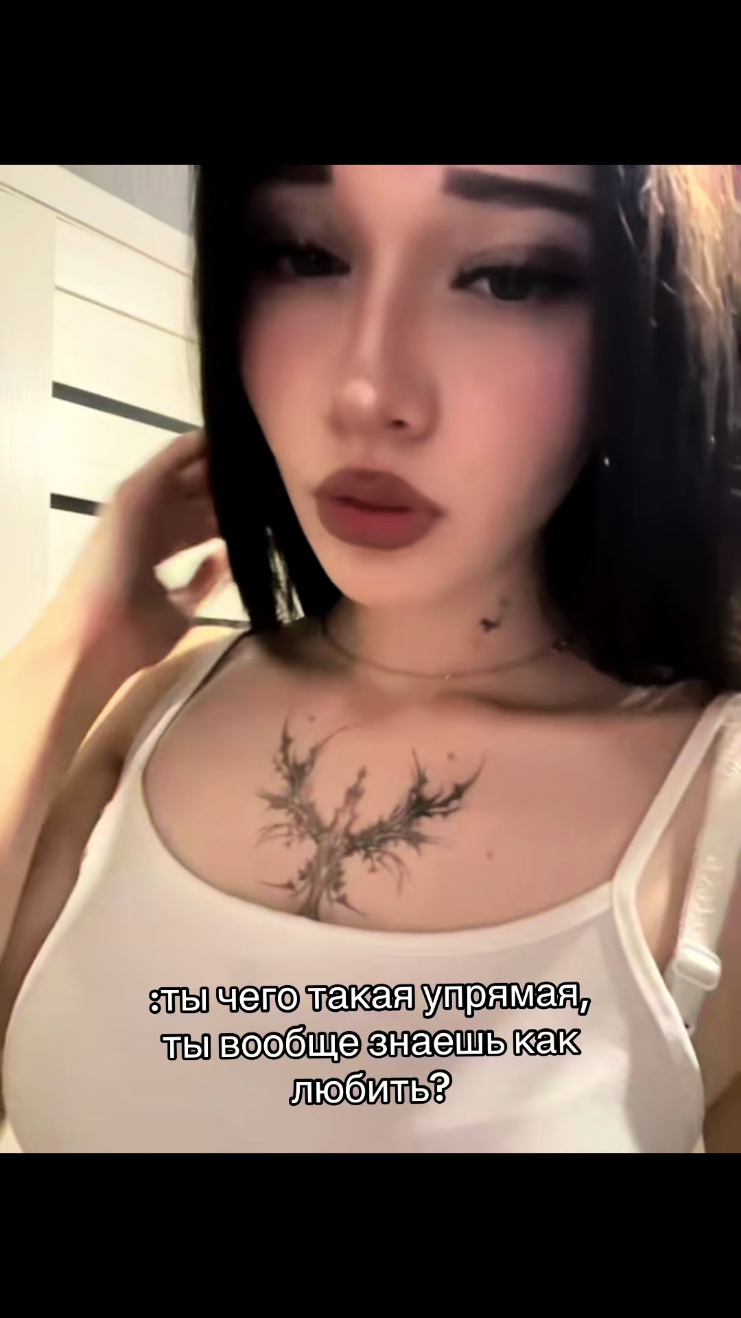 @𝐡𝐚𝐬𝐲𝐚 🐾