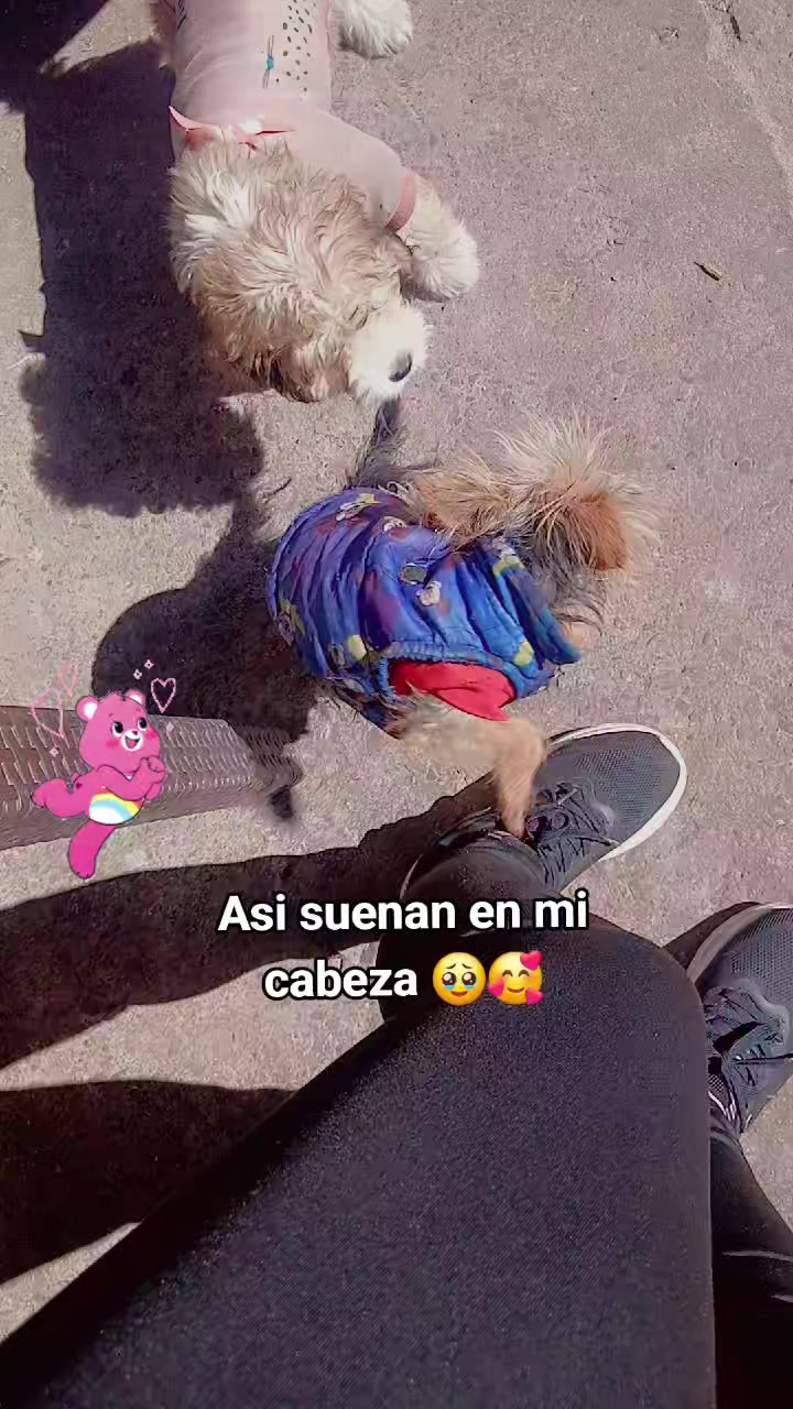 @Ximena 👑