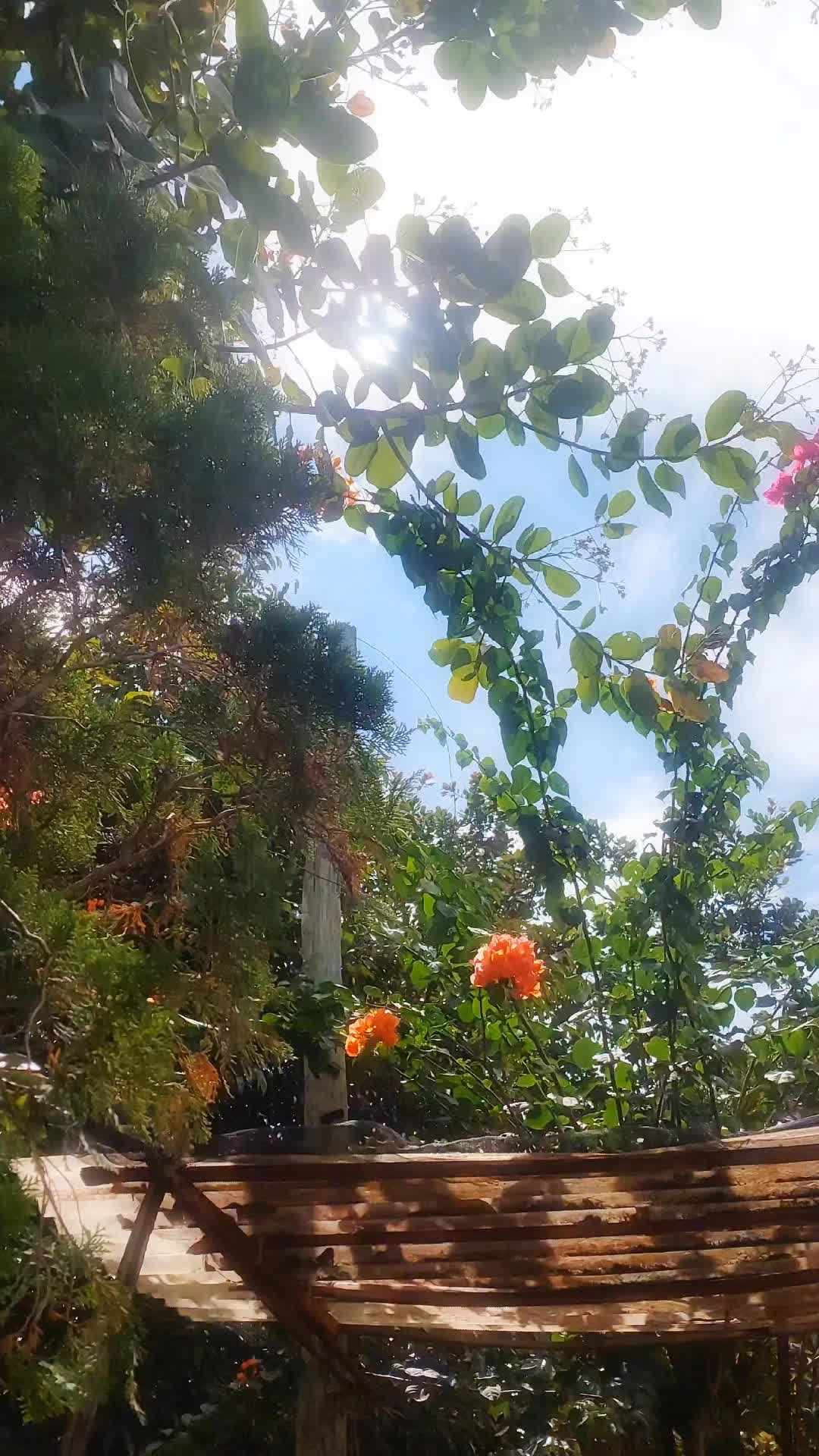 @peaceforyou🌻🌻🌻