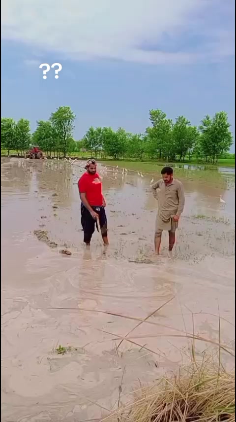 @جانی چٹھہ ــ کوٹلے ــ آلہ143✨✨