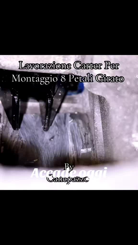 @CanePazzo1994 ( il ritorno )