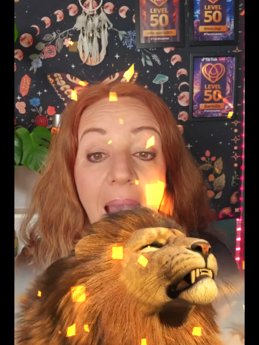 @🪷🦊Sanne🦊🪷
