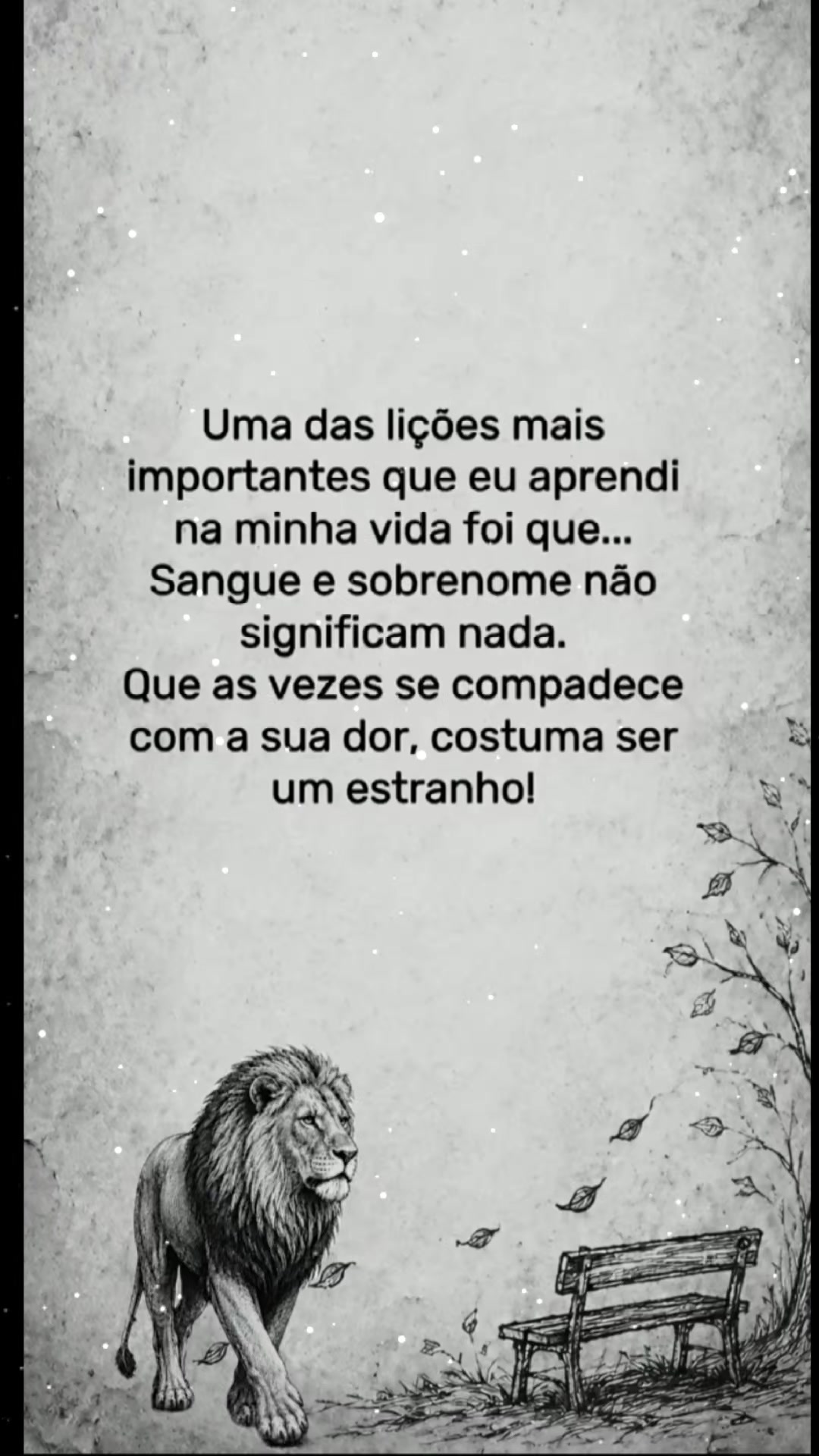 @Rose Alves