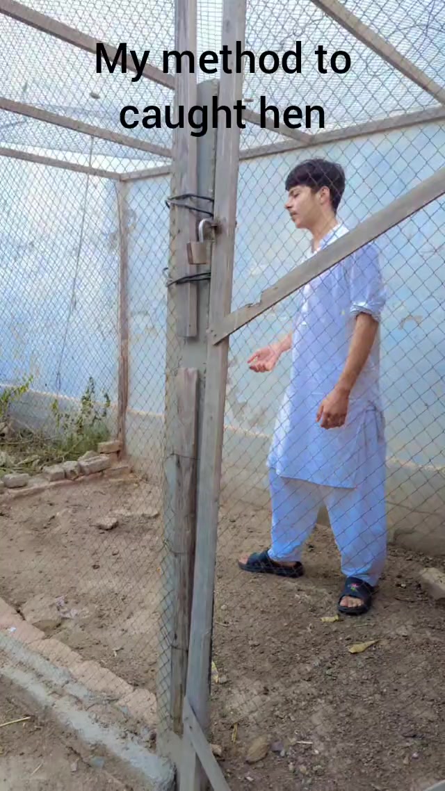 @Ghazan Mangol