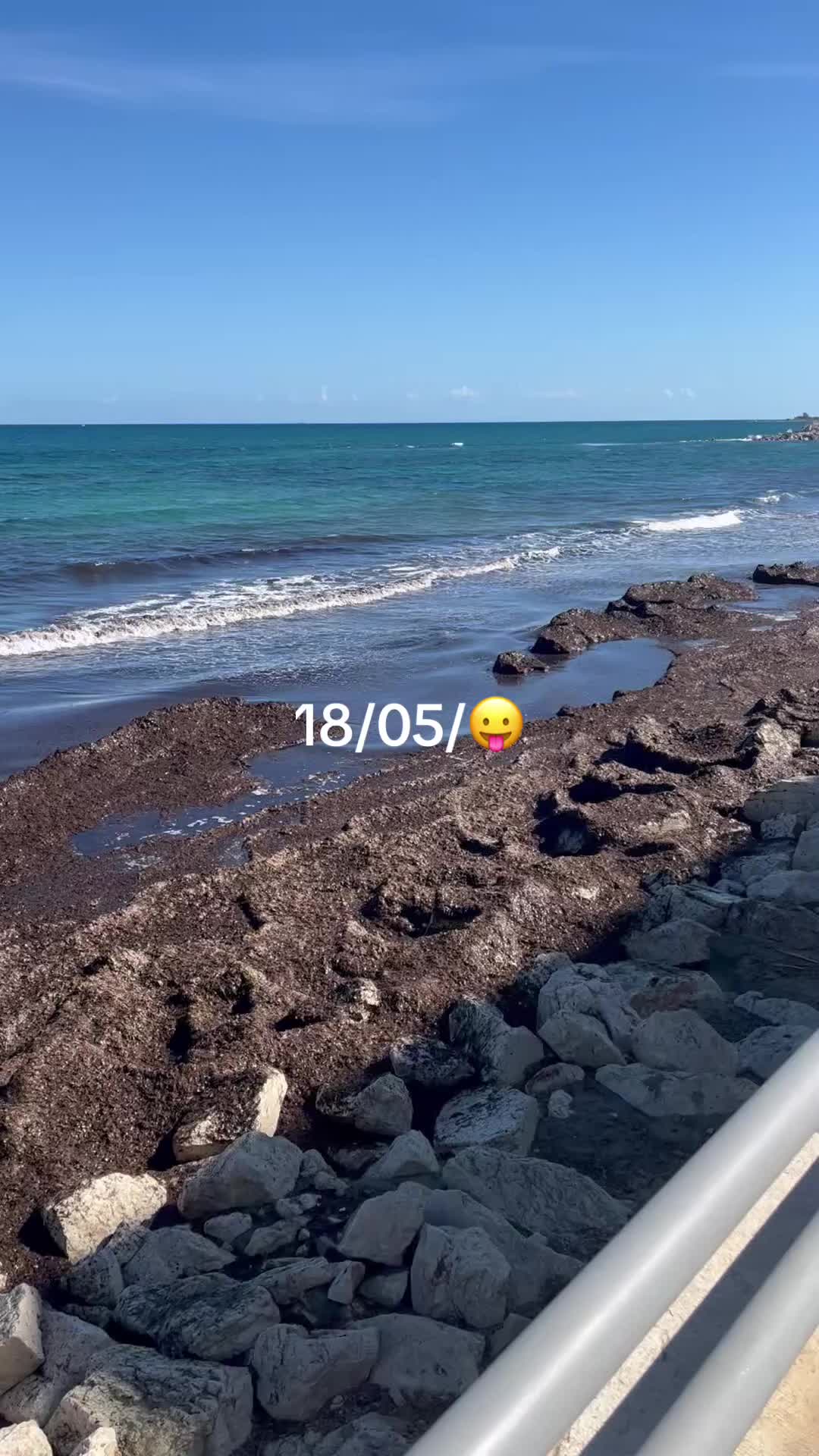 @bice785