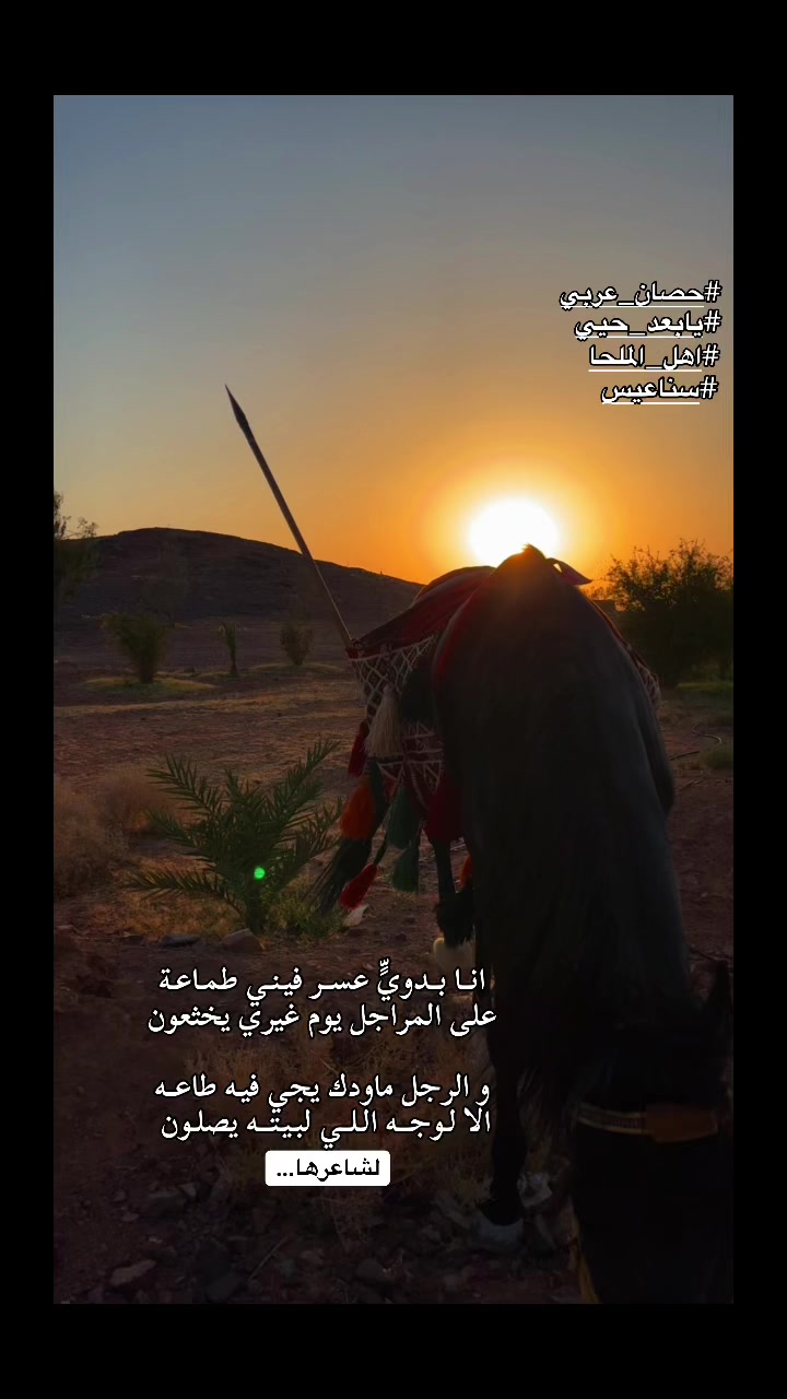 @نافع الشريهي K100