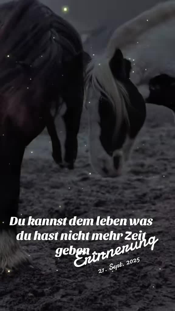 @serenety1700