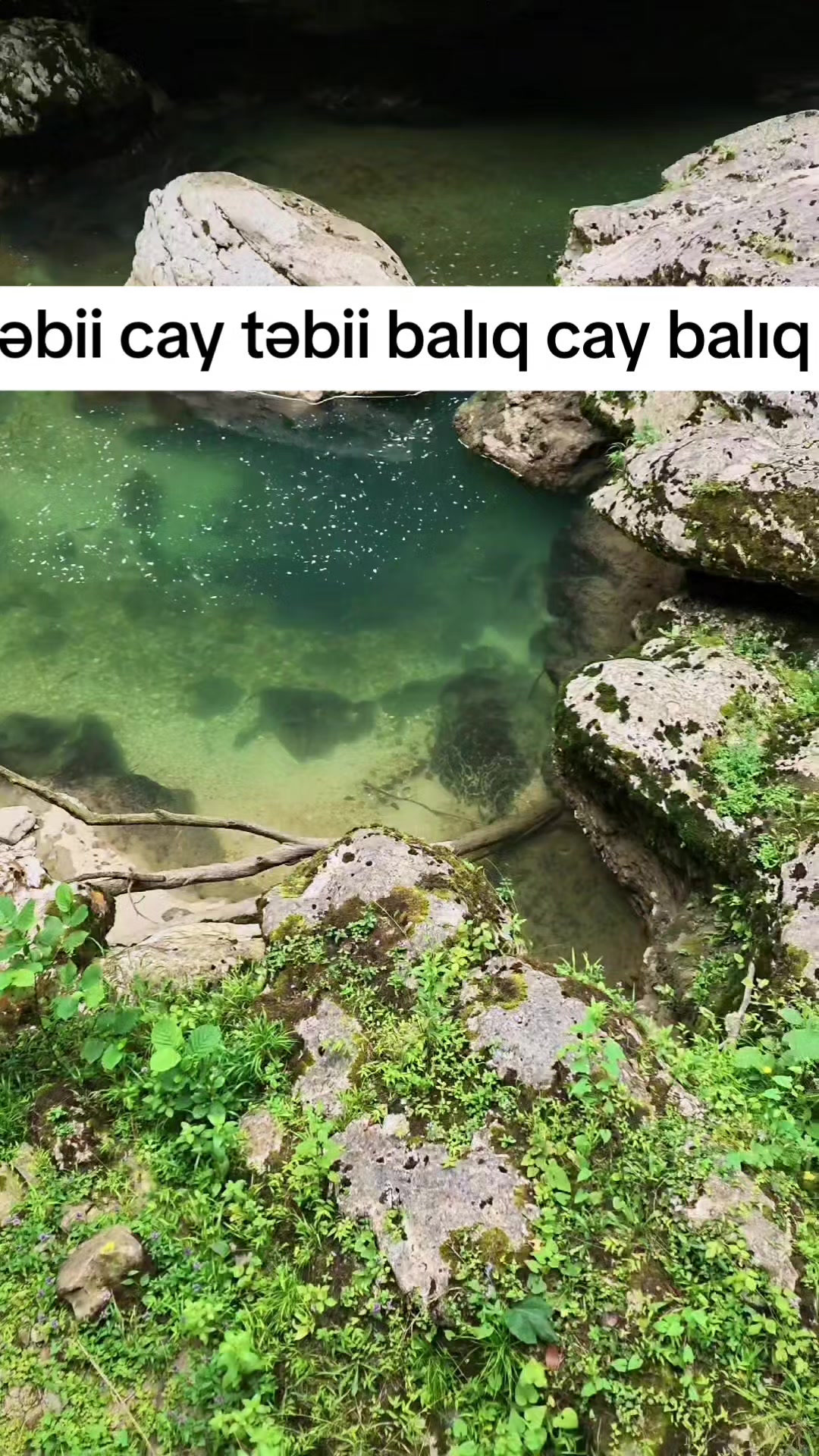 @ot.biçən.oğlan