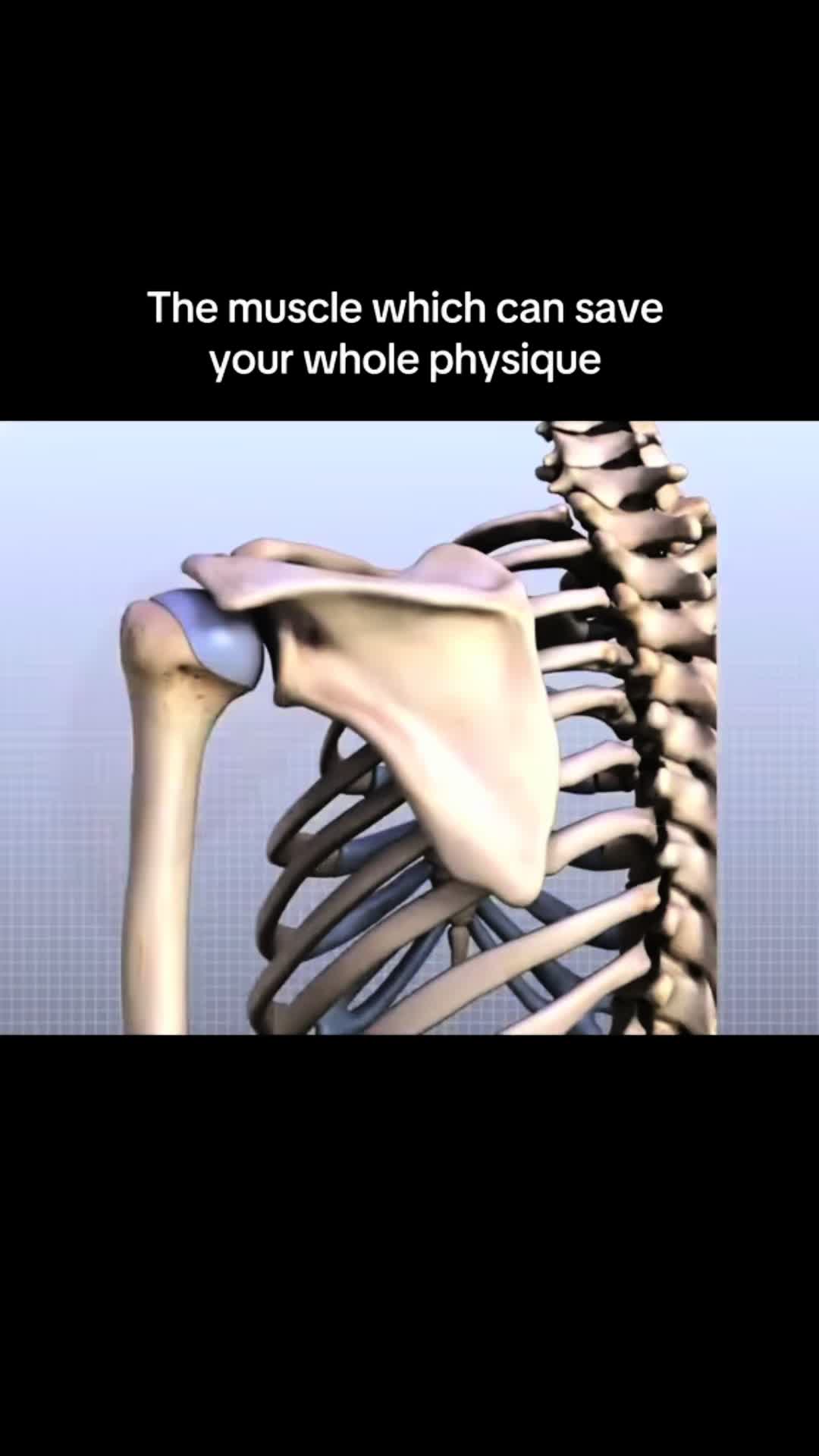 @heidarslayerlifts