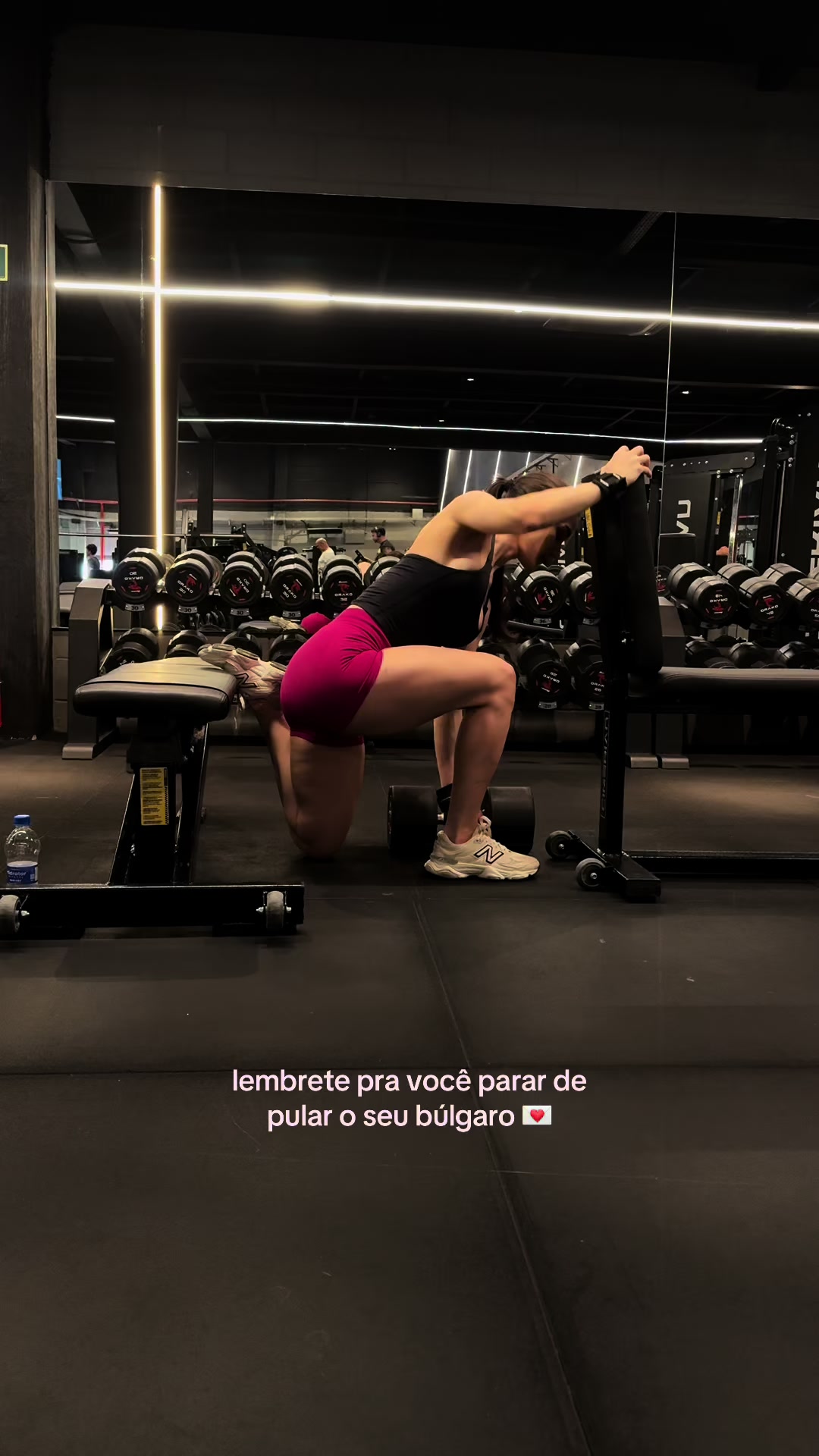 @sofia borghi