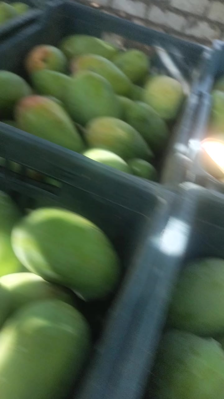 @احمد عمر