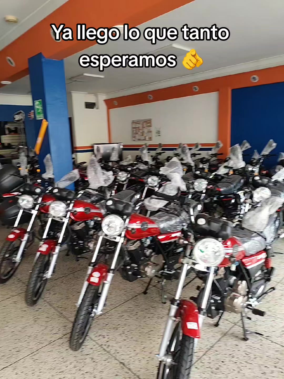 @M&aacute;rquez anderson