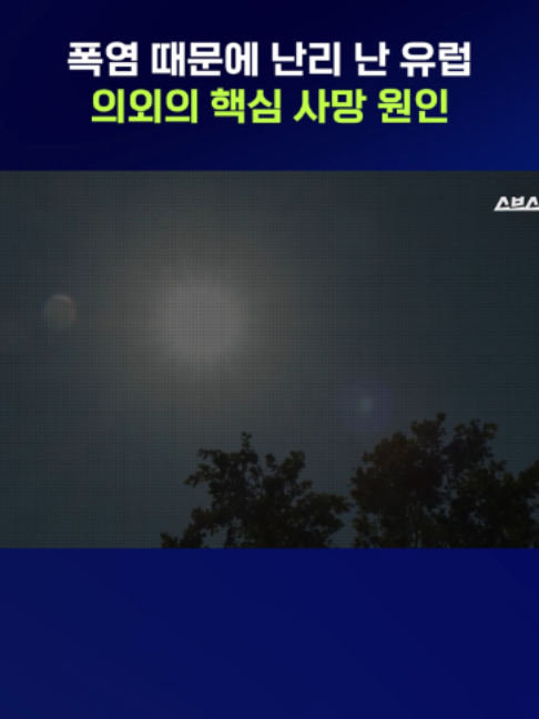 @스브스뉴스