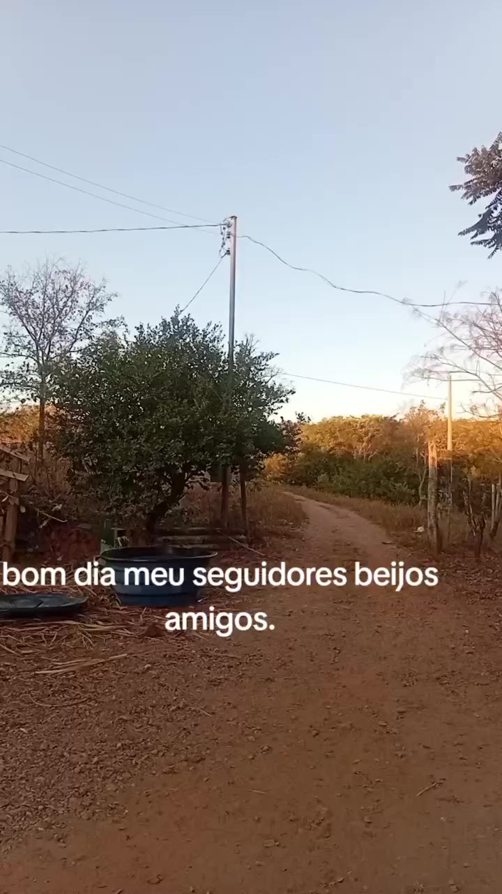 @Ione Silva