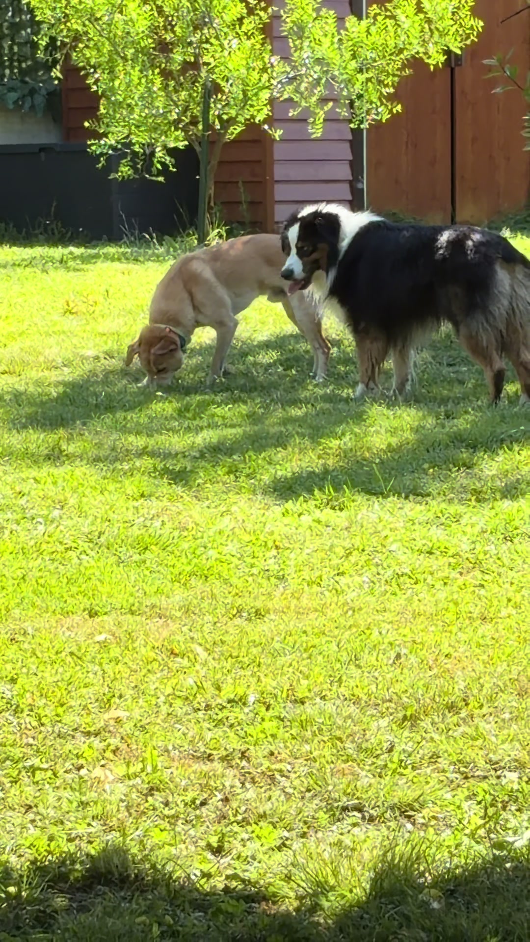 @Dona_Juggi&Winch