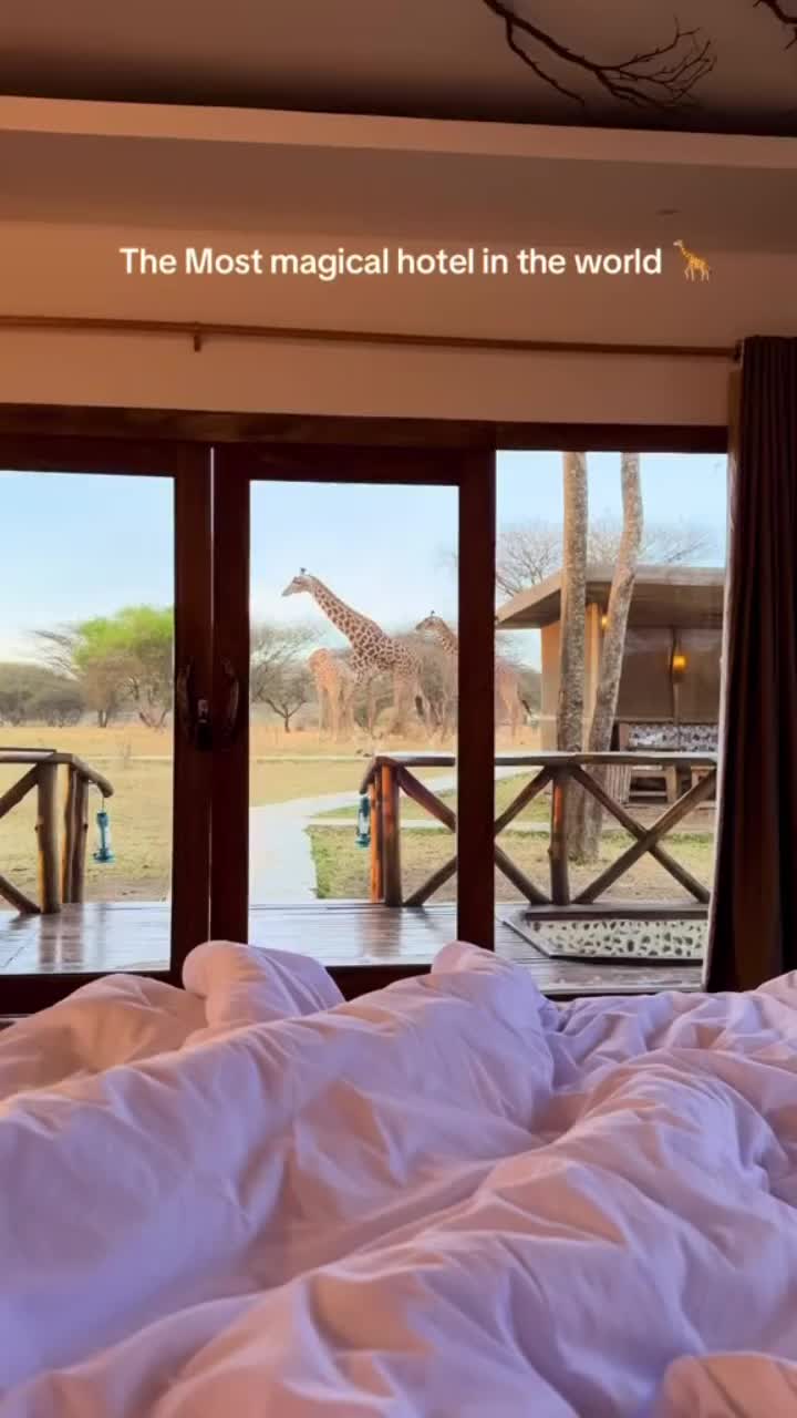 @Zanzibar 🇹🇿