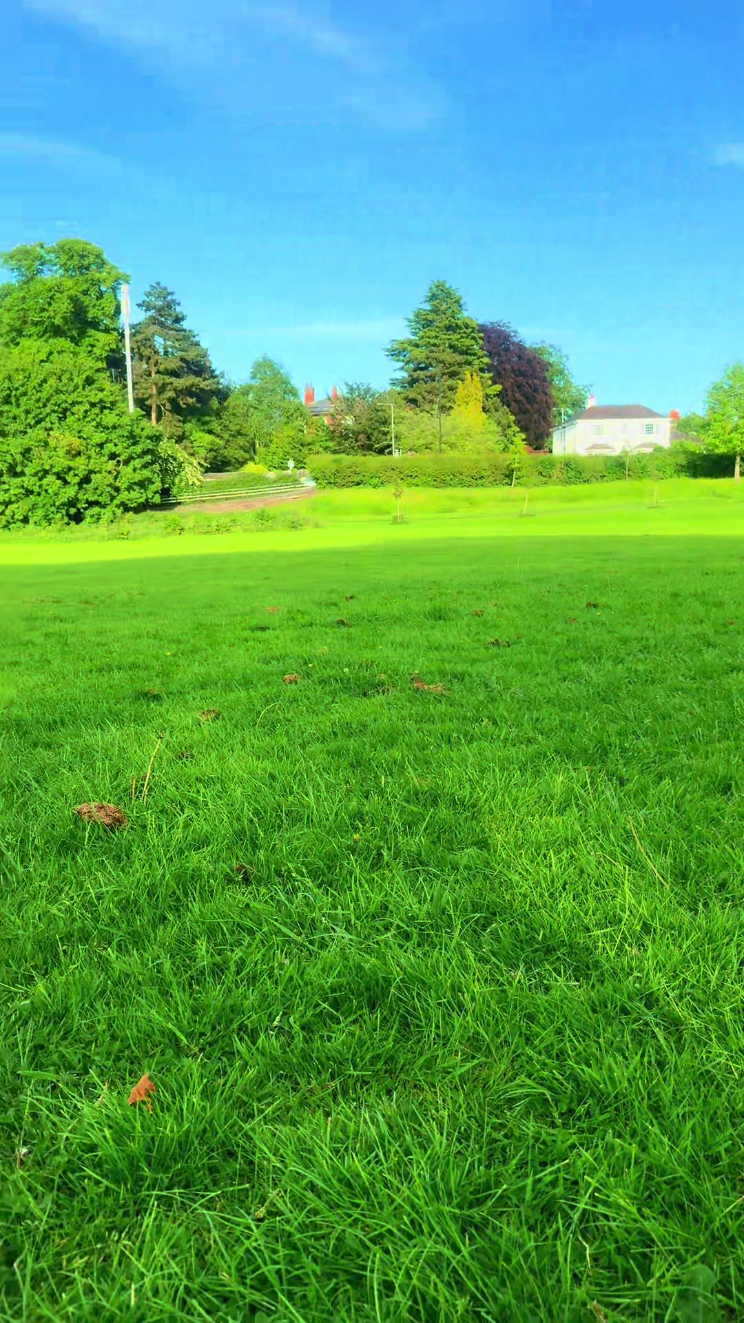 @Runii🇬🇧