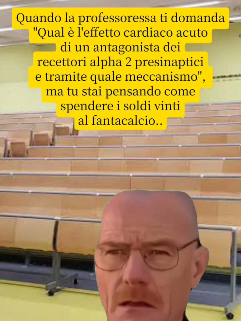 @Farmaesauriti
