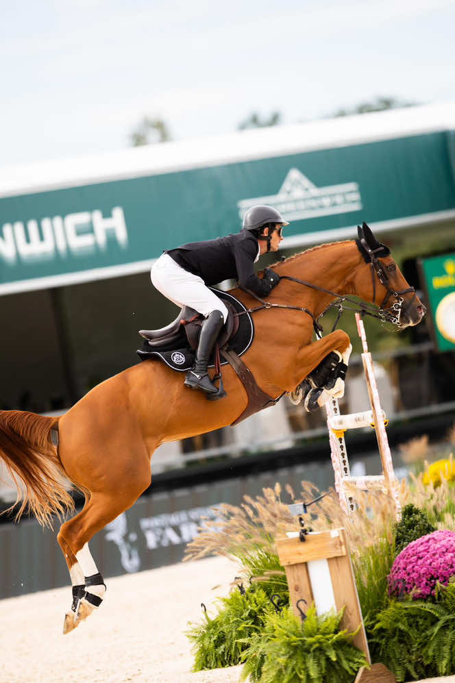 @Major League Show Jumping