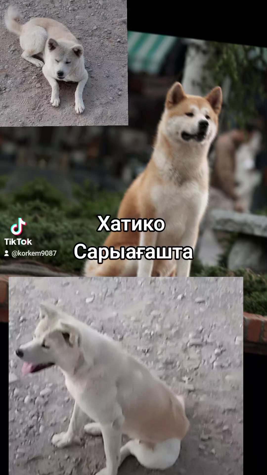 @Көркем